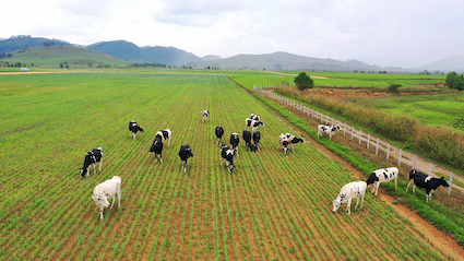 Vinamilk[-]li&ecirc;n[-]doanh[-]với[-]doanh[-]nghiệp[-]L&agrave;o[-]v&agrave;[-]Nhật[-]Bản[-]khởi[-]c&ocirc;ng[-]x&acirc;y[-]dựng[-]Tổ[-]hợp[-]&ldquo;Resort&rdquo;[-]b&ograve;[-]sữa[-]Organic[-]với[-]quy[-]m&ocirc;[-]5.000ha[-]tại[-]L&agrave;o